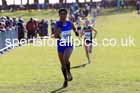 Girls under-15s 2025 Northern Cross Country Champs, Tatton Park, Knutsford, Cheshire. Photo: David T. Hewitson/Sports for All Pics